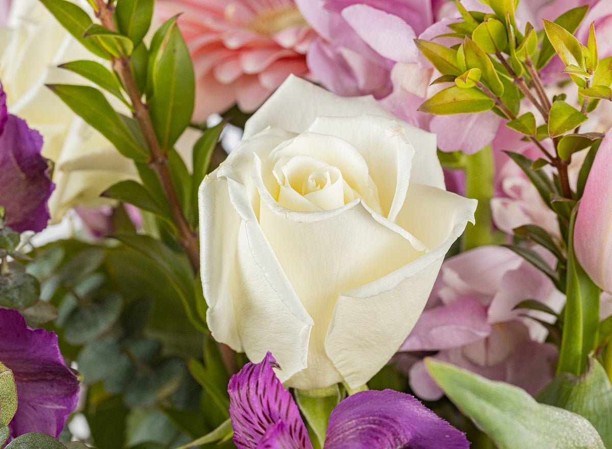 Elegant Arrangement