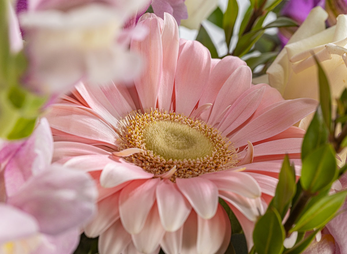 Elegant Arrangement