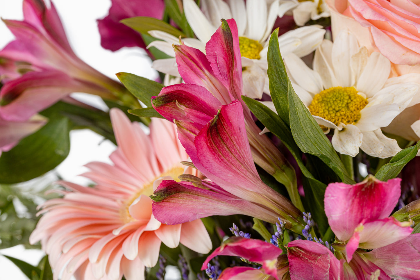 Traditional Mixed Cut Flowers
